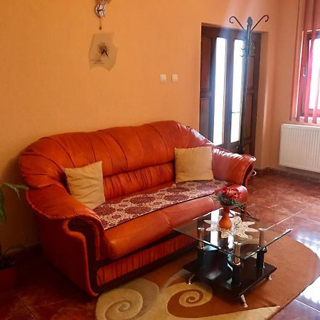 Vila La Izvor Petresti Exterior foto