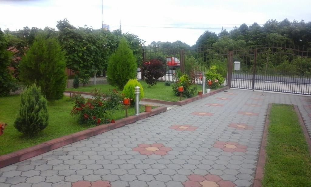 Vila La Izvor Petresti Exterior foto