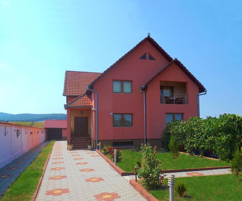 Vila La Izvor Petresti Exterior foto
