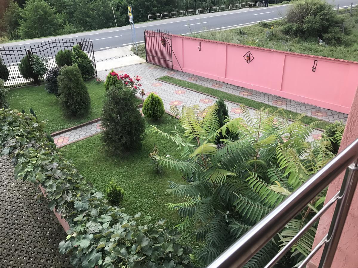 Vila La Izvor Petresti Exterior foto